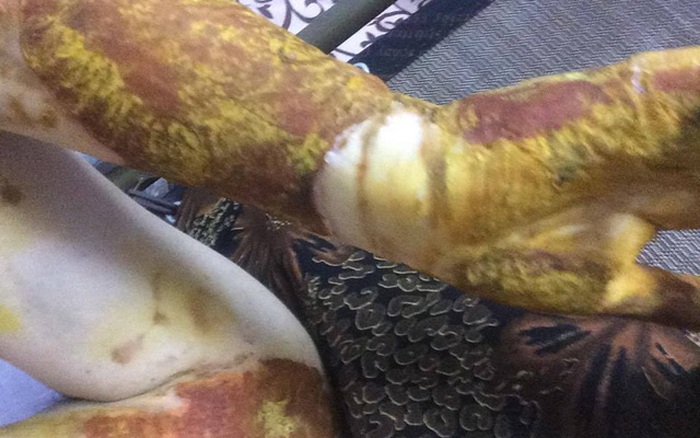 Mơ Bị Bỏng Đánh Con Gì?